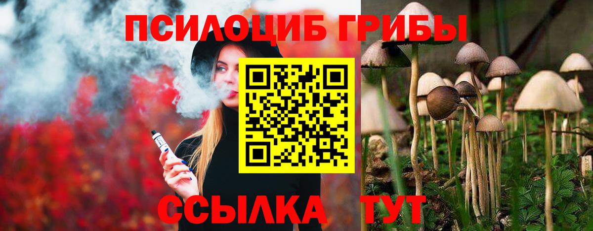 Галлюциногенные грибы Psilocybine cubensis  Псилоцибиновые грибы Psilocybe  Ачинск  Вход с VPN 